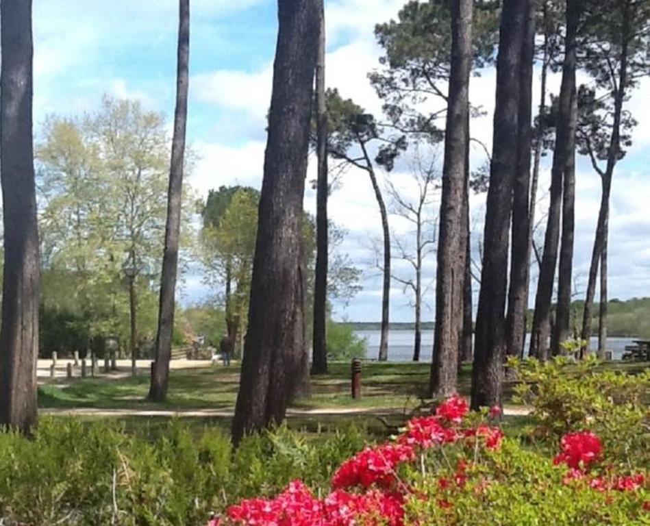 Hotel Au Bon Coin Du Lac Mimizan Bagian luar foto