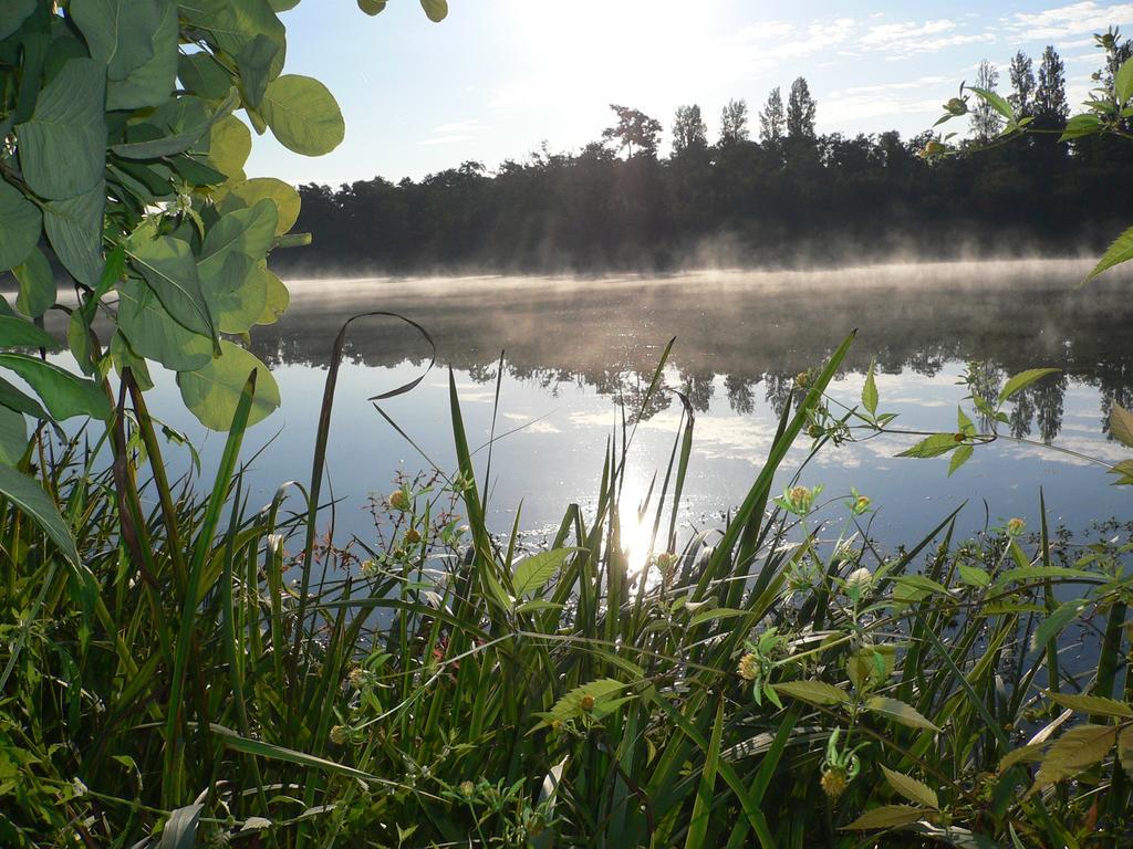 Hotel Au Bon Coin Du Lac Mimizan Bagian luar foto